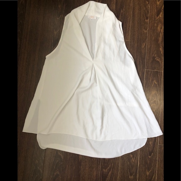 Aritzia / Wilfred free Sheer top